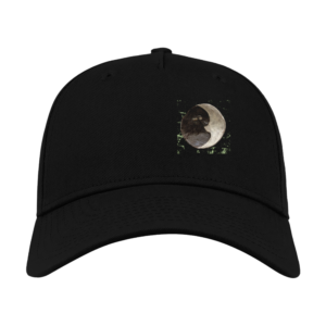 Fly to the moon cap