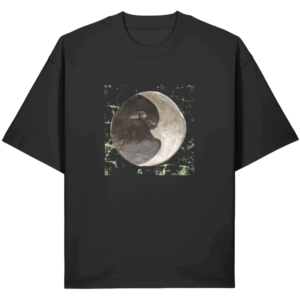 Fly to the moon L